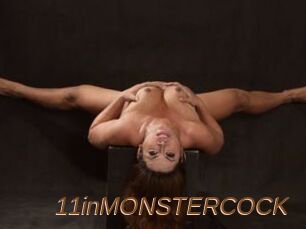 11inMONSTERCOCK