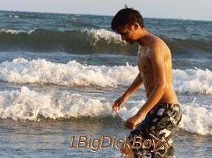 1BigDickBoyX