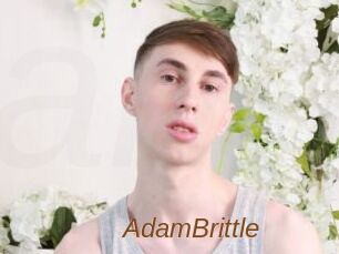 AdamBrittle