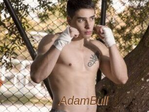AdamBull