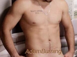 AdamBurning