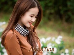 AkinaTina