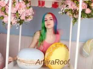 AmiraRoof