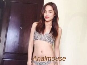 Anal_mouse