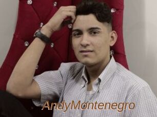 AndyMontenegro