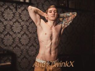 AndyTwinkX