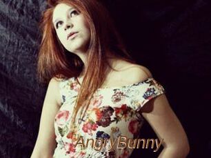 AngryBunny