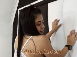 Antonellarosen