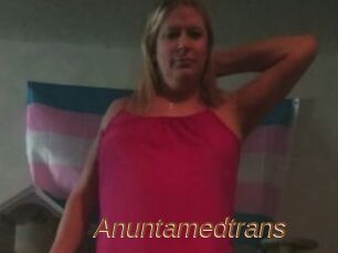 Anuntamedtrans