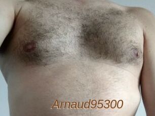 Arnaud95300