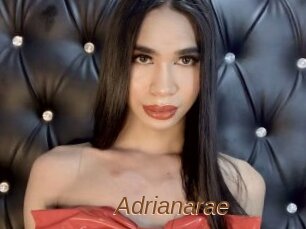 Adrianarae