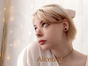 Alicebird