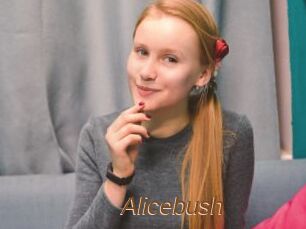 Alicebush