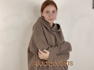 Alodiacollins