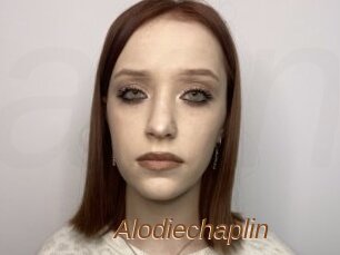 Alodiechaplin