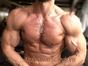 alphamuscledom Annuaire Sexe