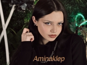 Aminaklep