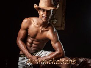 Amirmickelsens