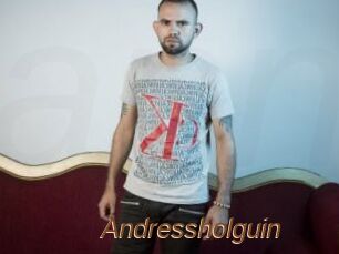Andressholguin