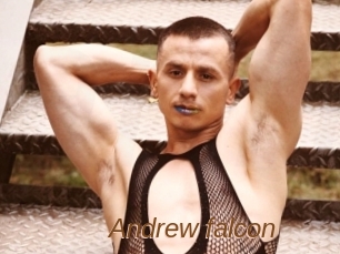 Andrew_falcon