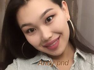 Andy_pnd