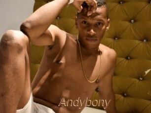 Andybony