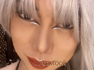 Anntook