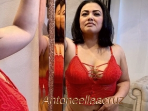 Antoneellaacruz