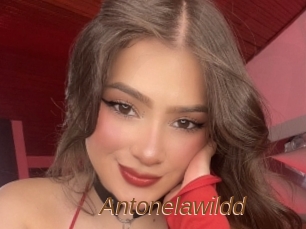 Antonelawildd