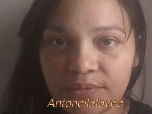 Antonellalovee