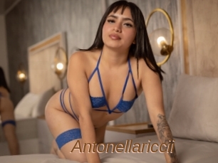 Antonellariccii