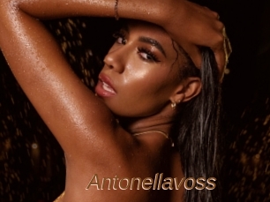 Antonellavoss