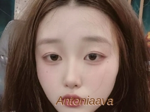 Antoniaava