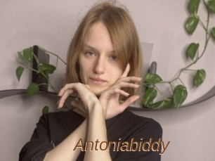 Antoniabiddy