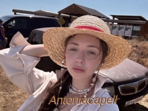 Antoniacapell