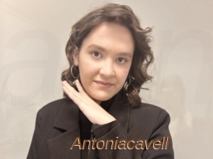 Antoniacavell