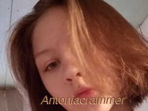 Antoniacrammer