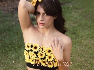 Ari_goldman