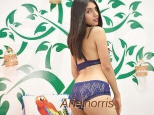 Arielnorris