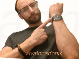 Avalonadonis