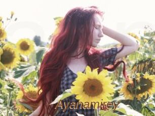 Ayanamirey