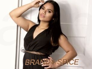 BRANDY_SPICE