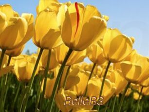 BelleB3