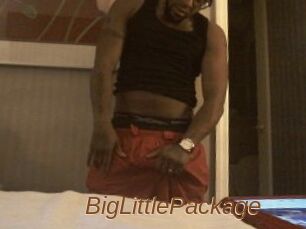 BigLittlePackage