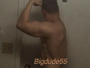 Bigdude55