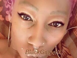 BlackGingerX