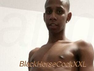 BlackHorseCockXXL