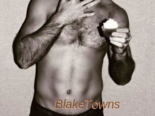 BlakeTowns