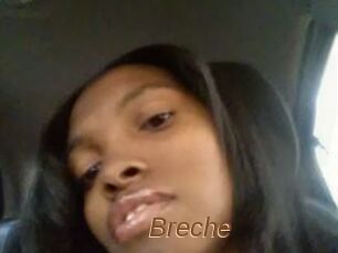 Breche