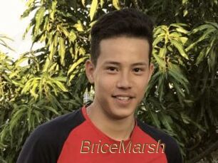 BriceMarsh